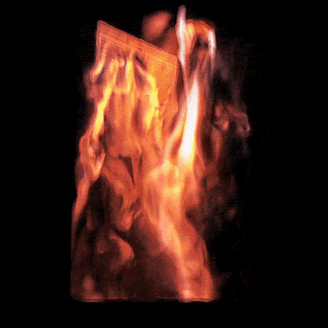 a close up of a fire with the letters ln on it