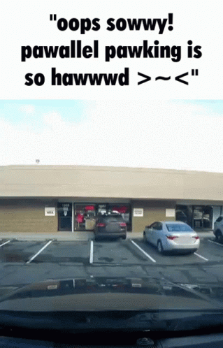 Parallel Parking Driving Test GIF - Parallel Parking Driving Test Meme GIFs
