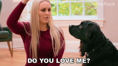 Do You Love Me The Pack GIF - Do You Love Me The Pack Do You Like Me GIFs