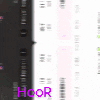 a close up of a phone screen with the word ' hoop ' on it