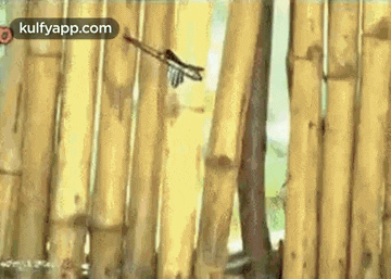 a dragonfly is flying through a bamboo forest with an arrow in its mouth .