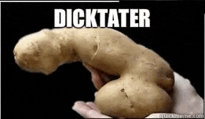 a person is holding a potato that looks like a penis and says dicktater .