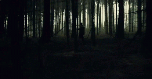 Chase Chasing GIF - Chase Chasing Escape GIFs