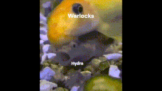 Warlock Hydra GIF - Warlock Hydra Dark And Darker GIFs