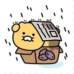 a cartoon bear is sitting in a cardboard box with potatoes on it .