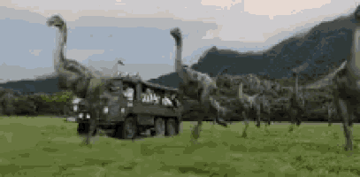 a group of dinosaurs are standing in a field next to a jeep .