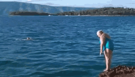 a dolphin is jumping into the ocean from a rocky shoreline .