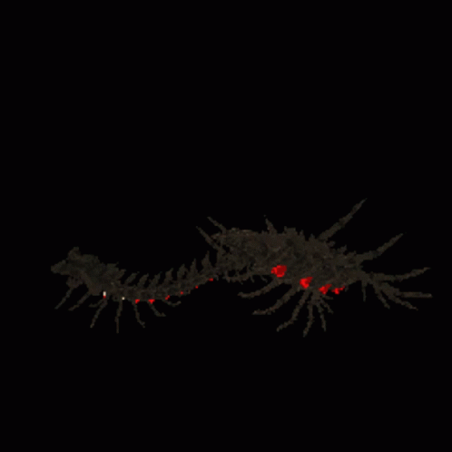 Centipede Ironguest GIF - Centipede Ironguest Fadious GIFs