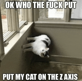 a cat is laying on the floor in a corner of a room next to a window .