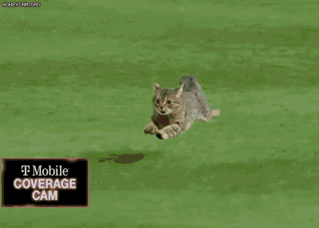 a t mobile coverage cam is shown on a screen
