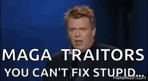 a man is holding a glass of whiskey and says maga traitors you can 't fix stupid .