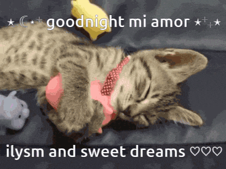 a cat laying on its back with the words goodnight mi amor ilysm and sweet dreams written below it