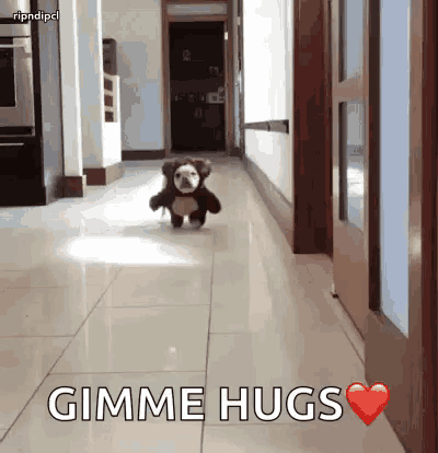 a dog wearing a teddy bear costume is running down a hallway .