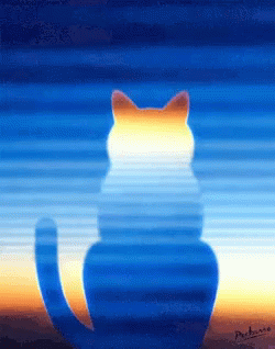 Silhouette Cat Ripple GIF - Silhouette Cat Ripple Contemporary Art GIFs