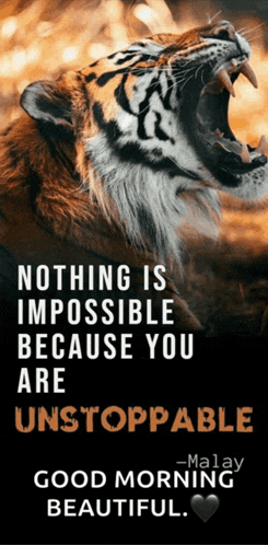 a picture of a tiger with a quote that says " nothing is impossible because you are unstoppable good morning beautiful "