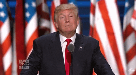 donald trump is giving a speech at the rnc convention in 2016