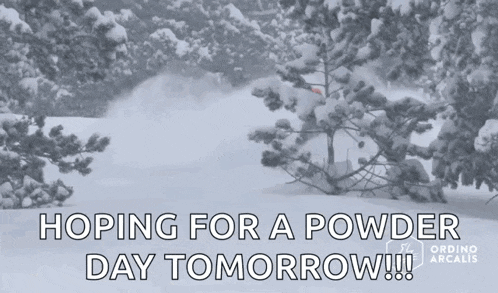 a snowy forest with the words " hoping for a powder day tomorrow "