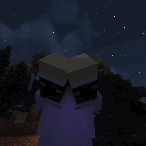 a minecraft character with a purple head is standing in a dark forest at night
