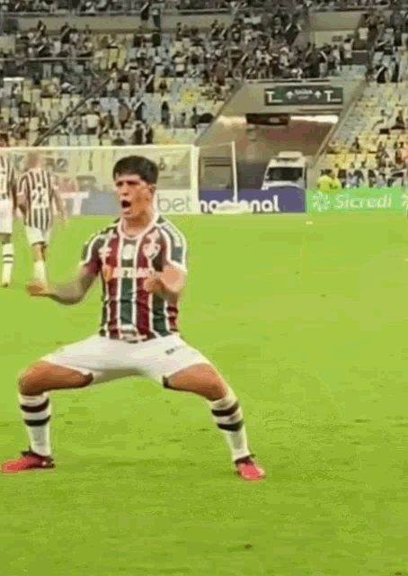 Cano Fluminense GIF - Cano Fluminense Vibração GIFs