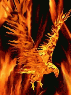 Aguiadefogo Phoenix GIF - Aguiadefogo Phoenix Bird GIFs