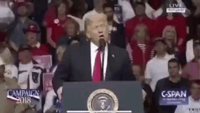 donald trump is standing at a podium giving a speech to a crowd of people .