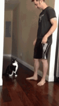 a man standing next to a black and white cat on a hardwood floor