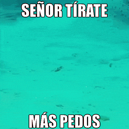 a picture of a fish with the words señor tirate mas pedos above it