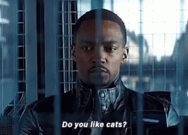 Do You Like Cats Avengers GIF - Do You Like Cats Avengers Cats GIFs