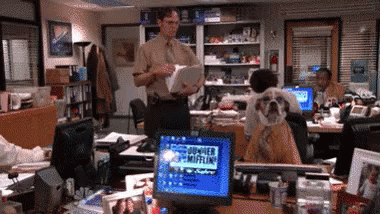 Professional Dog GIF - The Office Dog Costume GIFs