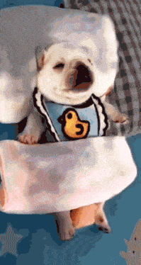 a dog wearing a bib with a duck on it