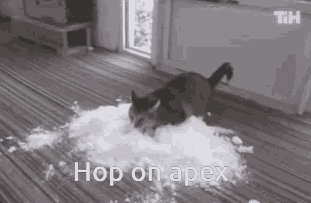 Hop On Apex Apex GIF - Hop On Apex Apex Cat GIFs