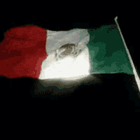 a mexican flag is flying in the dark