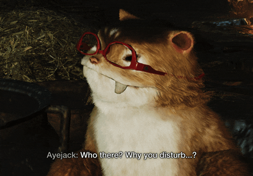 a cat wearing red glasses says ayejack who there why you disturb ...