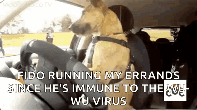 Quarantine And Chill Social Distance GIF - Quarantine And Chill Social Distance Drive GIFs