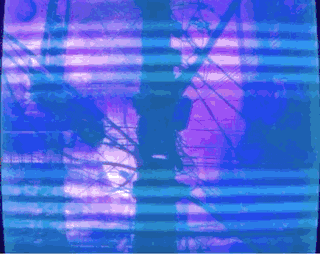 a purple and blue background with a silhouette of a tree in the foreground