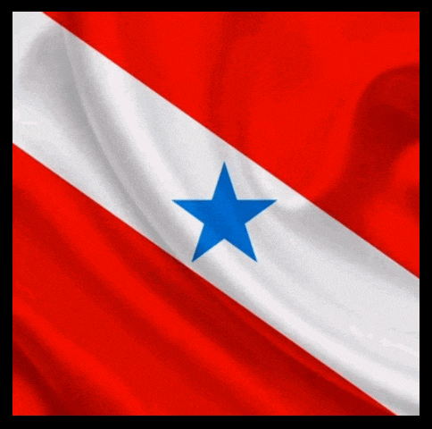 a blue star is on a red and white flag