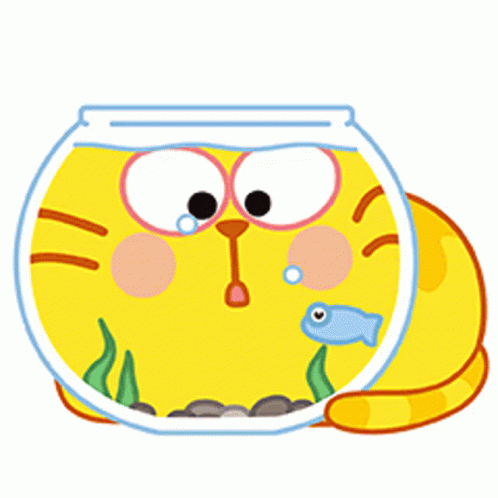 Fish Bowl Fish GIF - Fish Bowl Fish Cat GIFs