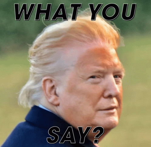 Trump Trump Meme GIF - Trump Trump Meme Trump Acquitted GIFs