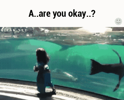 a girl looking at a seal in an aquarium with the words " a are you okay " on the top