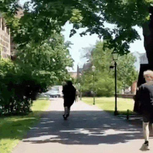 a group of people are walking down a path in a park on a sunny day .