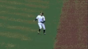 a baseball player is jumping over the fence of a baseball field .