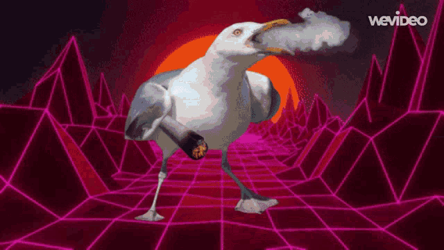 a seagull is smoking a cigarette with the words wevideo behind it