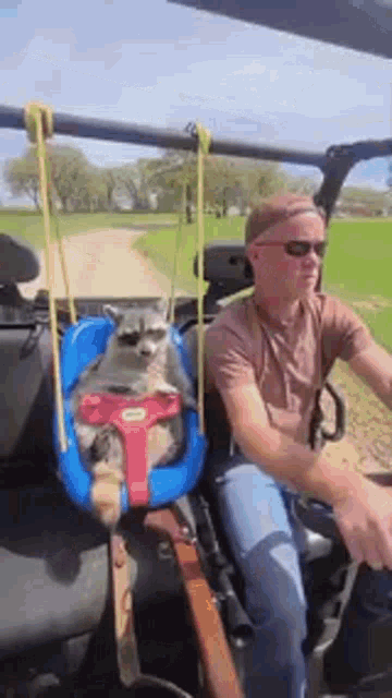 a man driving a vehicle with a raccoon in a swing