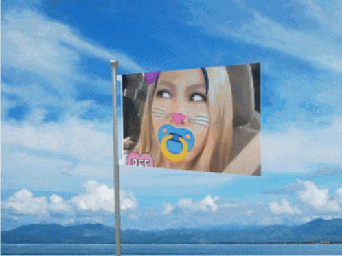 Ms Bby Loonawra GIF - Ms Bby Loonawra Flag GIFs