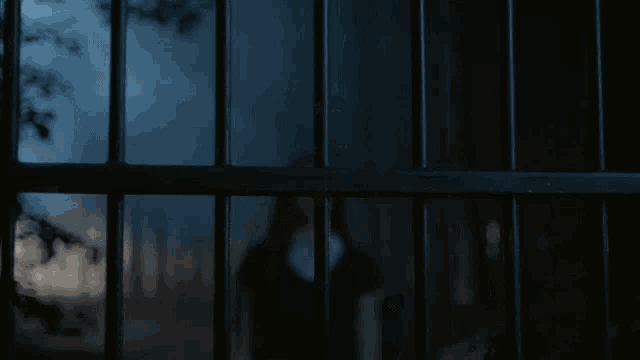 a woman is looking out of a window at night behind bars .