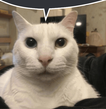 Canny Cat Uncanny Cat GIF - Canny Cat Uncanny Cat Speech Bubble GIFs
