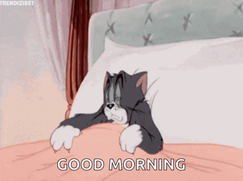 a cartoon cat is yawning in bed with the words good morning written on the bottom