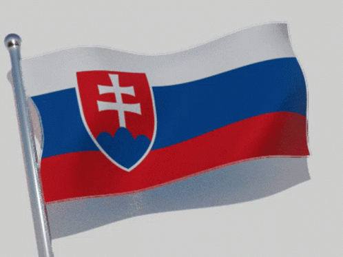 Slovakia Flag GIF - Slovakia Flag Flag Waver GIFs
