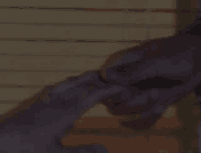 a man and woman are holding hands in a dark room .