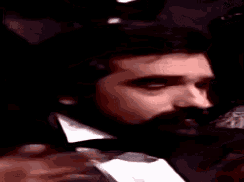 a man with a beard wearing a tuxedo and bow tie is looking at another man .